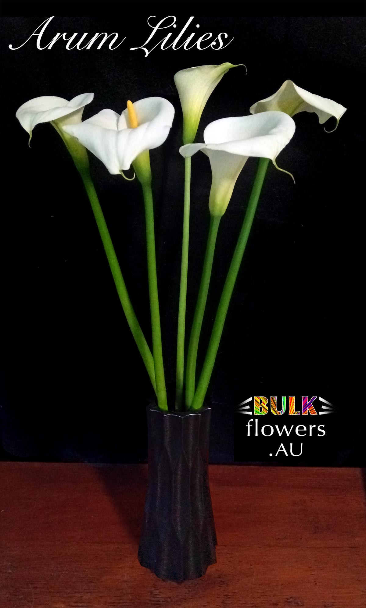 Arum Lilies