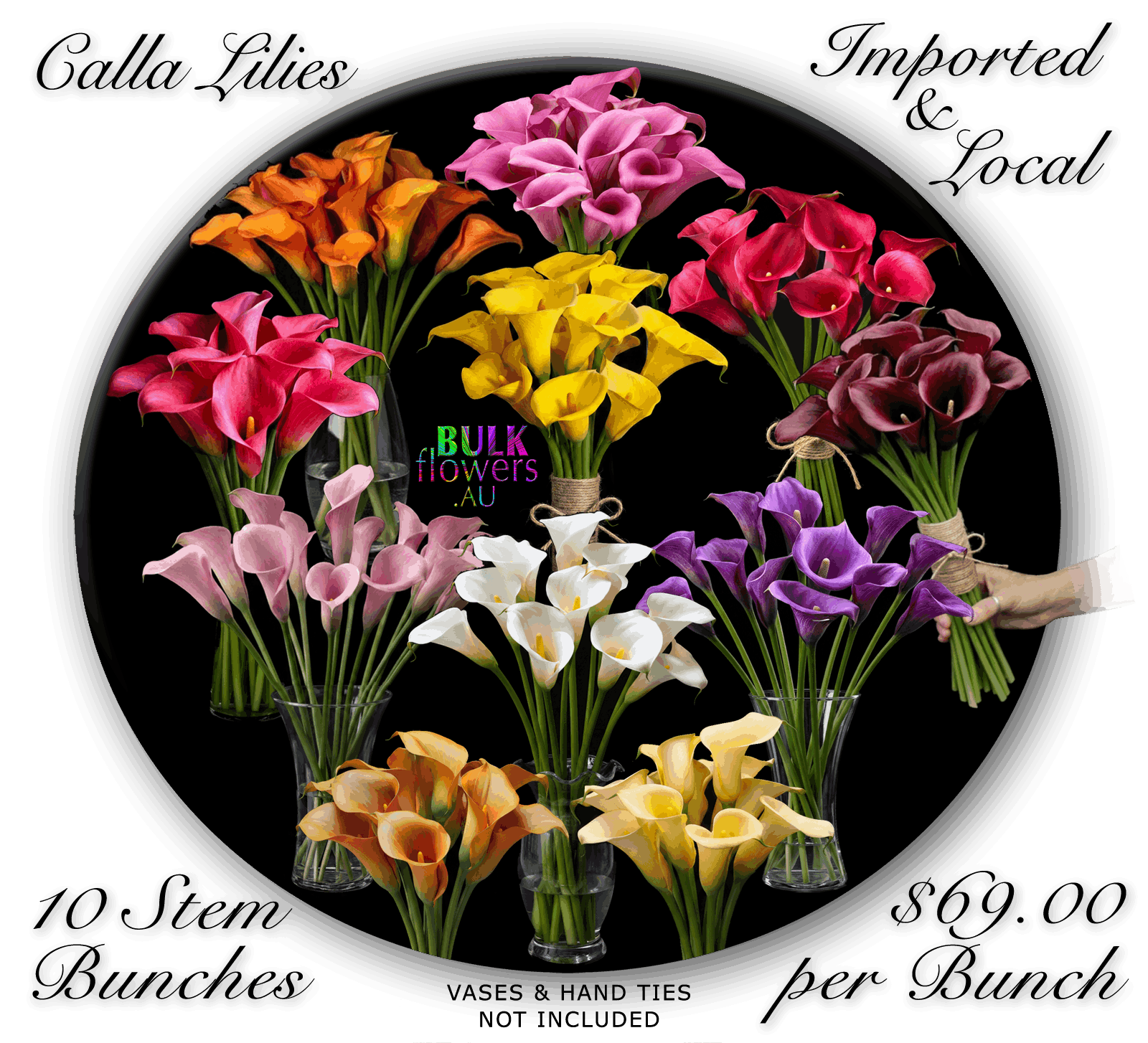 CALLA LILIES