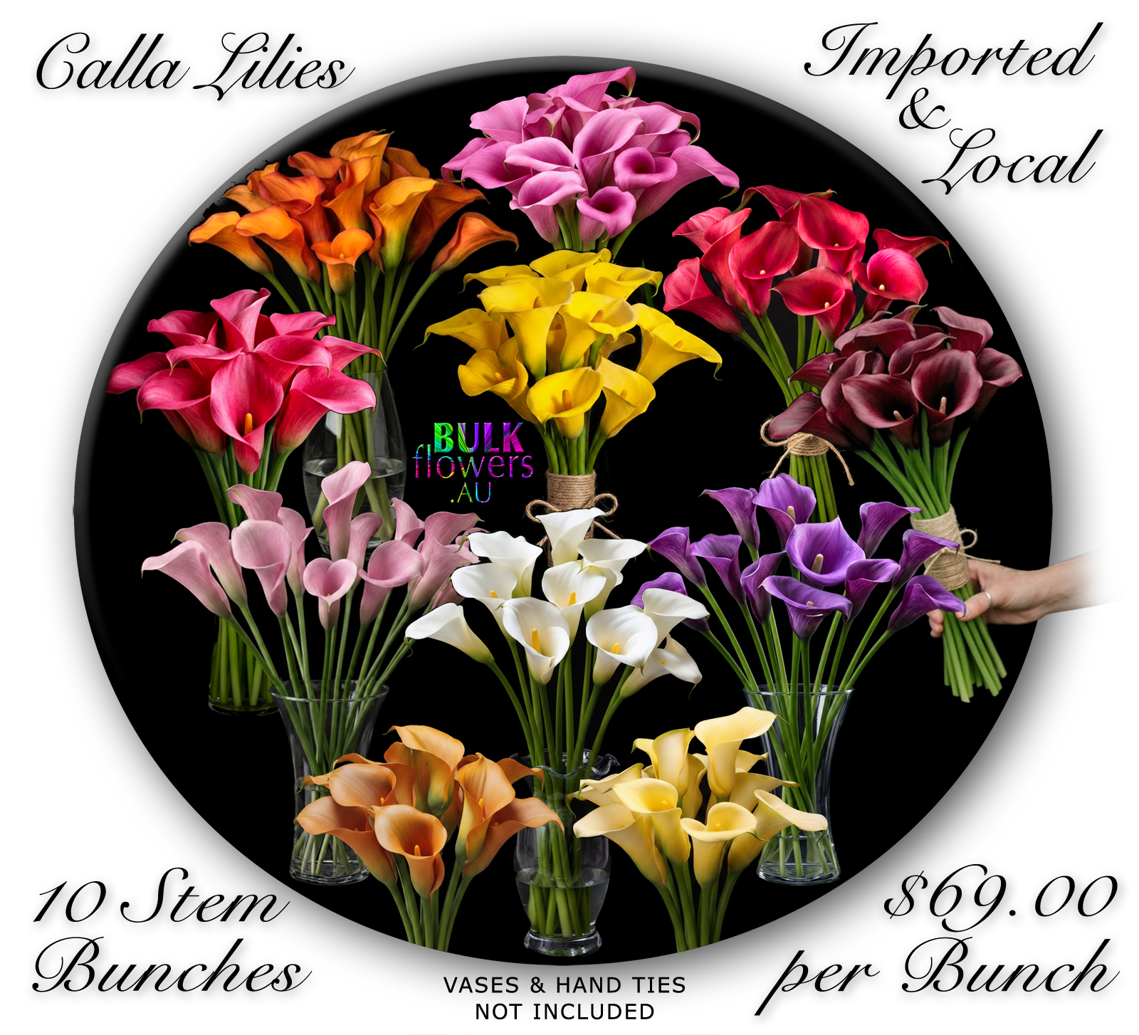BULK FLOWERS CALLA LILLIES