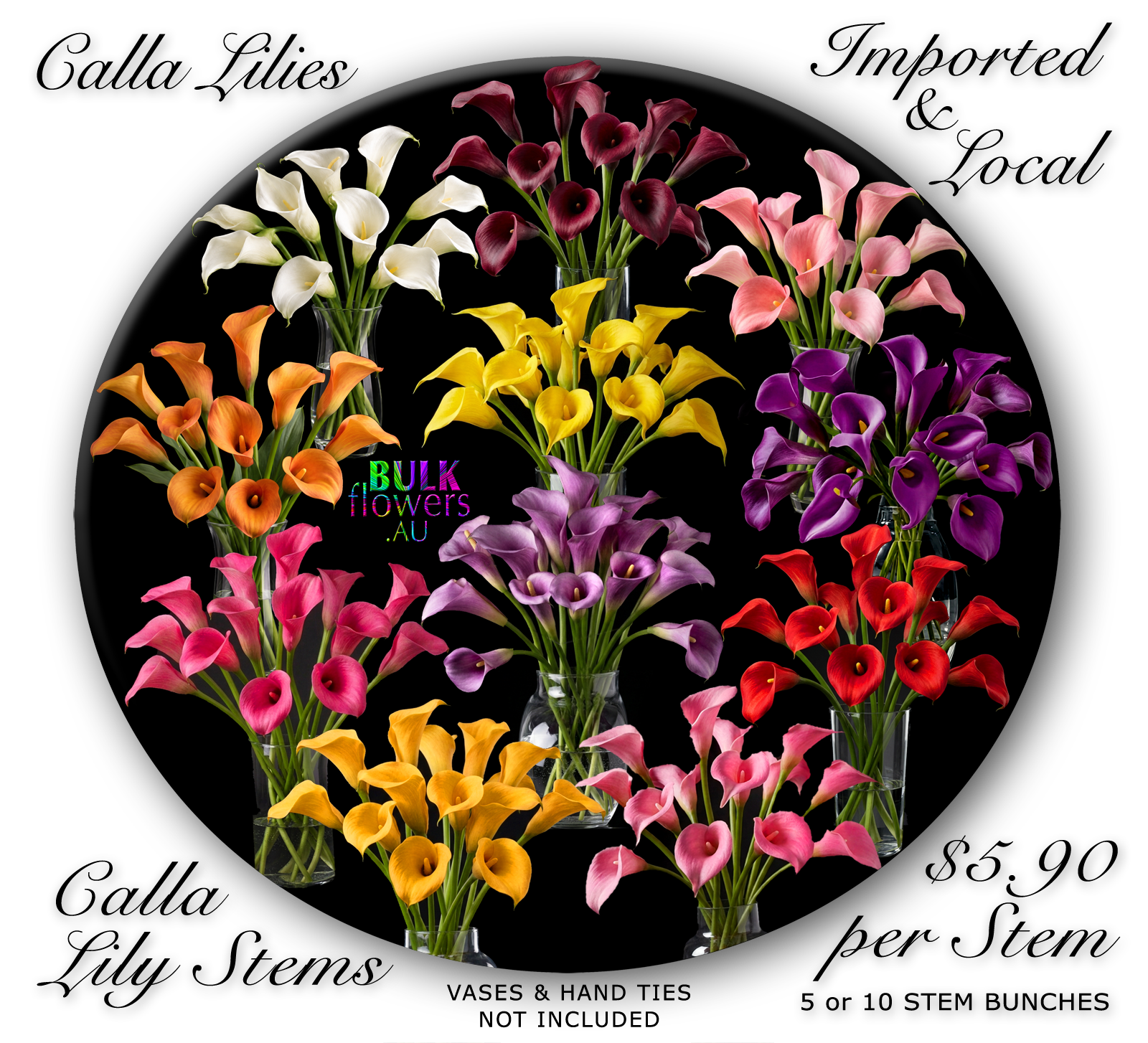 BULK FLOWERS CALLA LILLIES